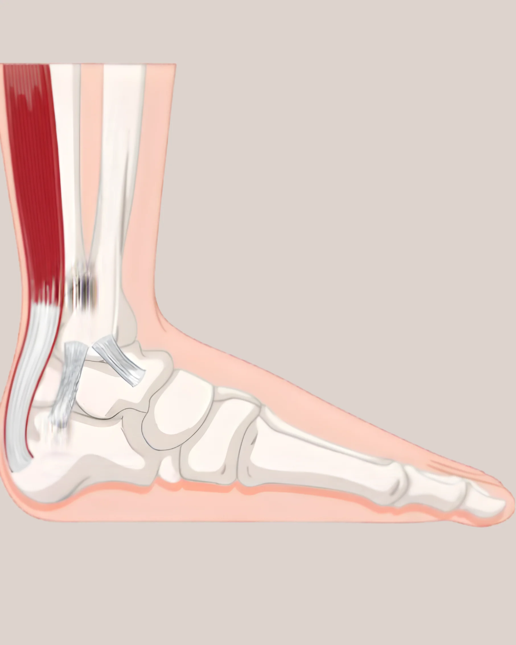 Dr Divya Bandari - Ankle Sprain Treatment Specialist
